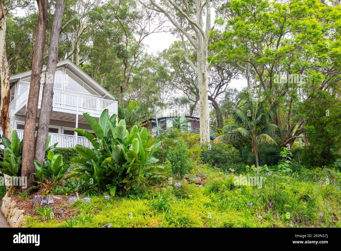 Jardin privé de la maison de Sydney, jardins à l'avant d'une maison à Clareville sur les plages du nord de Sydney, Australie Banque D'Images