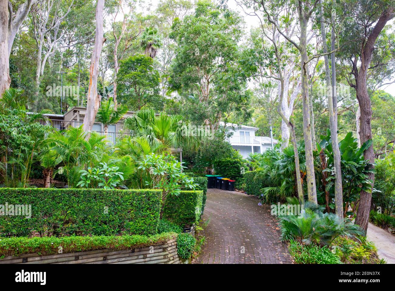 Jardin privé de la maison de Sydney, jardins à l'avant d'une maison à Clareville sur les plages du nord de Sydney, Australie Banque D'Images