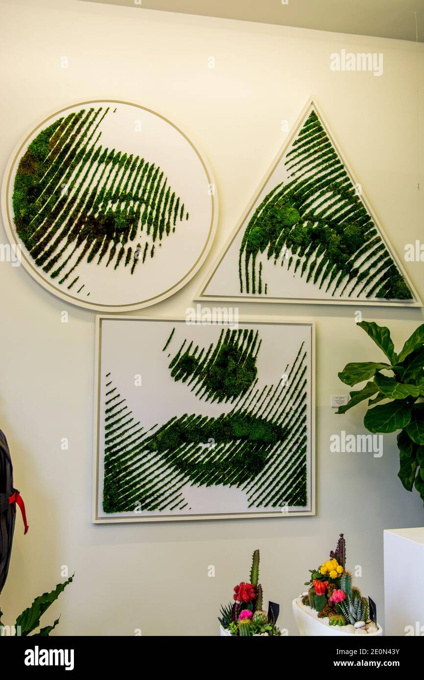 Art mural peintures murales peintures murales Wynwood Walls, quartier des galeries, Miami, Floride. Banque D'Images