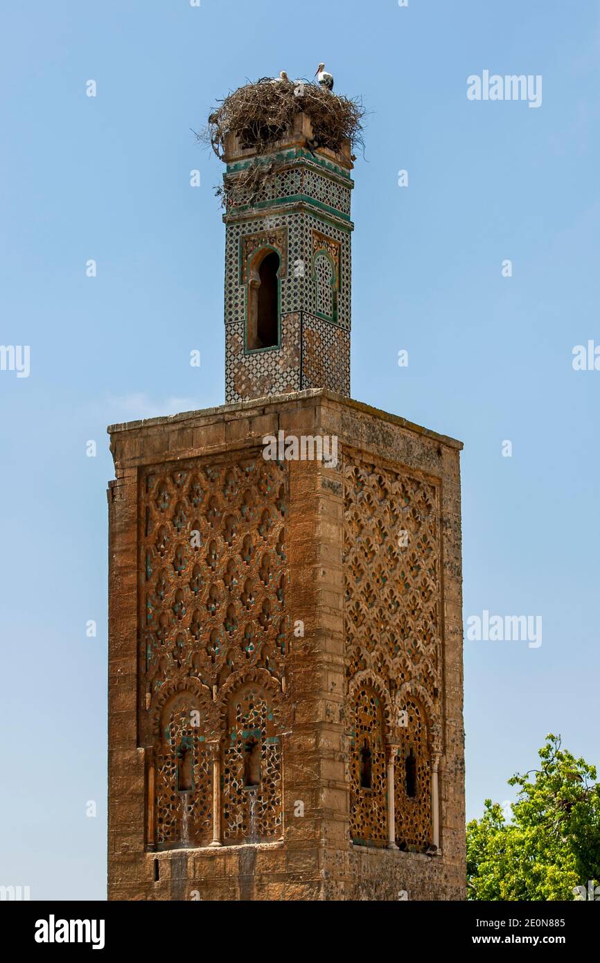 rencontres de marocaines