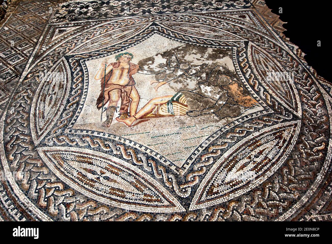 La Mosaïque de Bacchus rencontre l'Ariadne endormi de la Maison de l'Ephée sur l'ancien site de Volubilis au Maroc. Banque D'Images