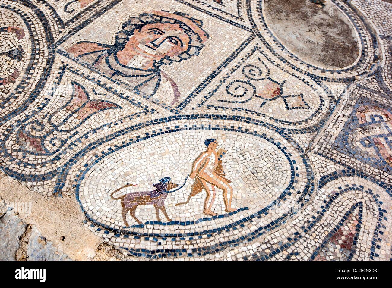 Une mosaïque dans la Maison des ouvriers d'Hercules à Volubilis au Maroc. Il comprend Hercules de capture et de retour avec son animal Cerberus. Banque D'Images