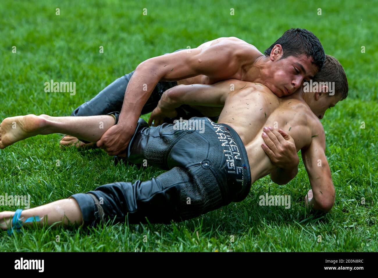 Un lutteur force son adversaire sur le terrain au Kagithane Turque Oil Wrestling Festival à Istanbul en Turquie. Banque D'Images