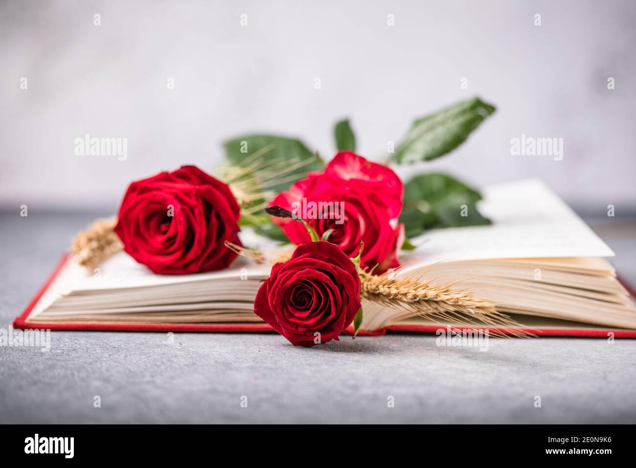 Rose et livre, cadeau traditionnel pour Sant Jordi, le Saint Georges Day. C'est la version de Catalunya de la Saint-Valentin Banque D'Images