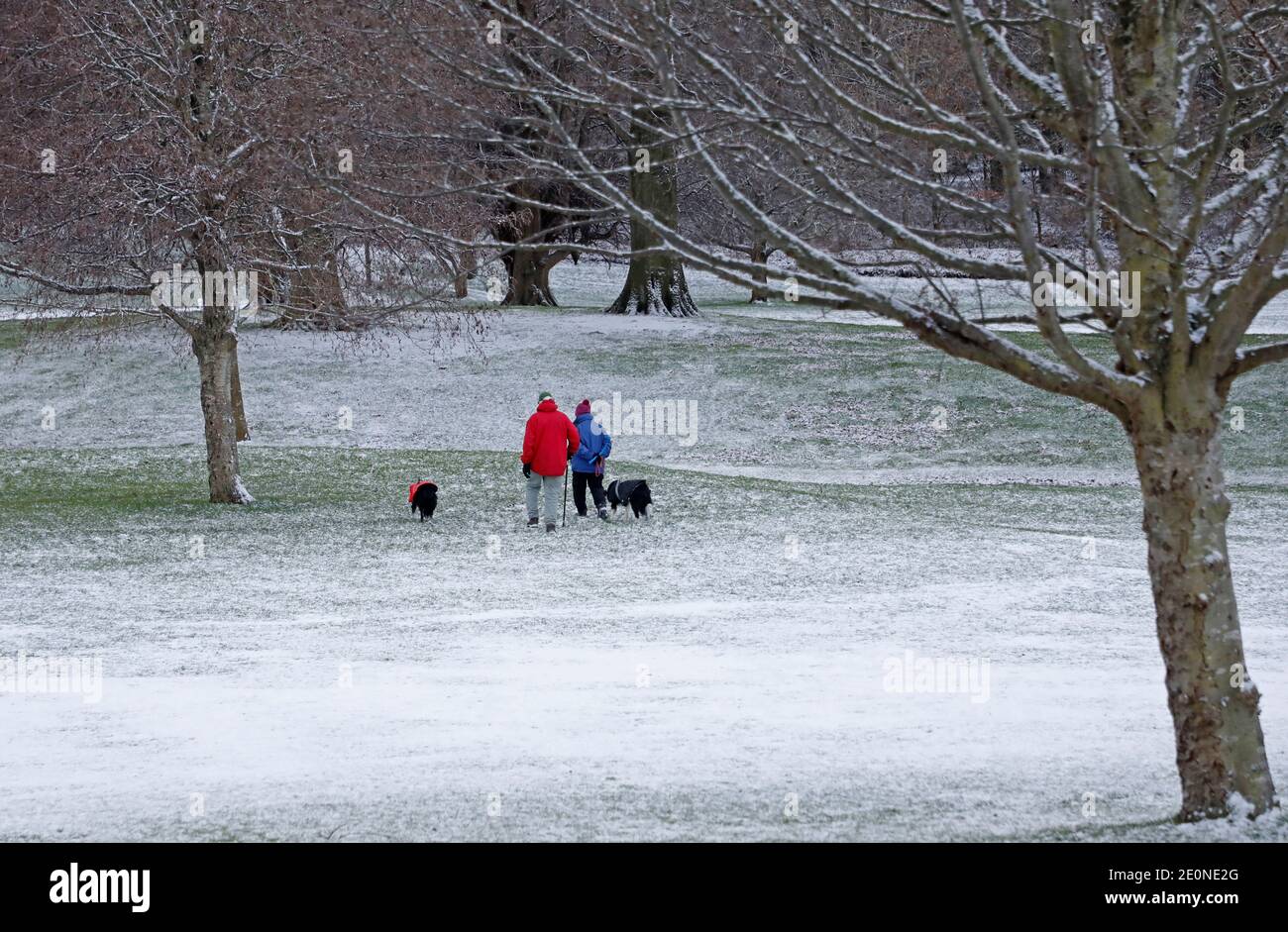 Duddingston, Édimbourg, Écosse, Royaume-Uni. 2 décembre 2021. Une chute de neige tôt le deuxième jour de l'année a donné à ce terrain de golf un joli regard de vin. Température moins 2 centigrades. Crédit : Arch White/Alamy Live News. Banque D'Images