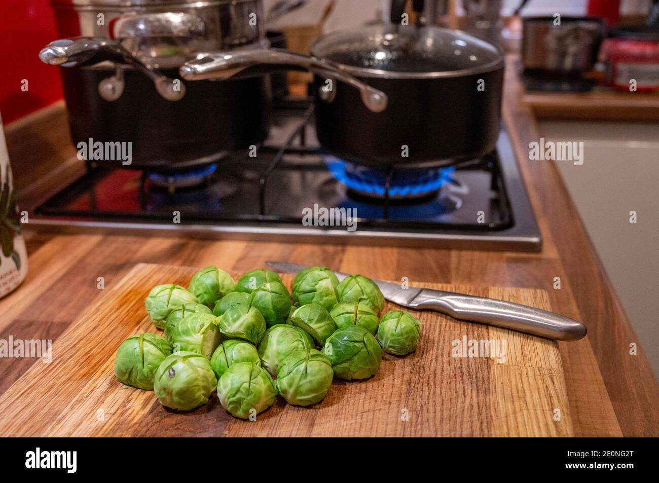 Pousses de Bruxelles - Brassica oleracea var. Gemmifera - préparées pour la cuisine à Noël Banque D'Images