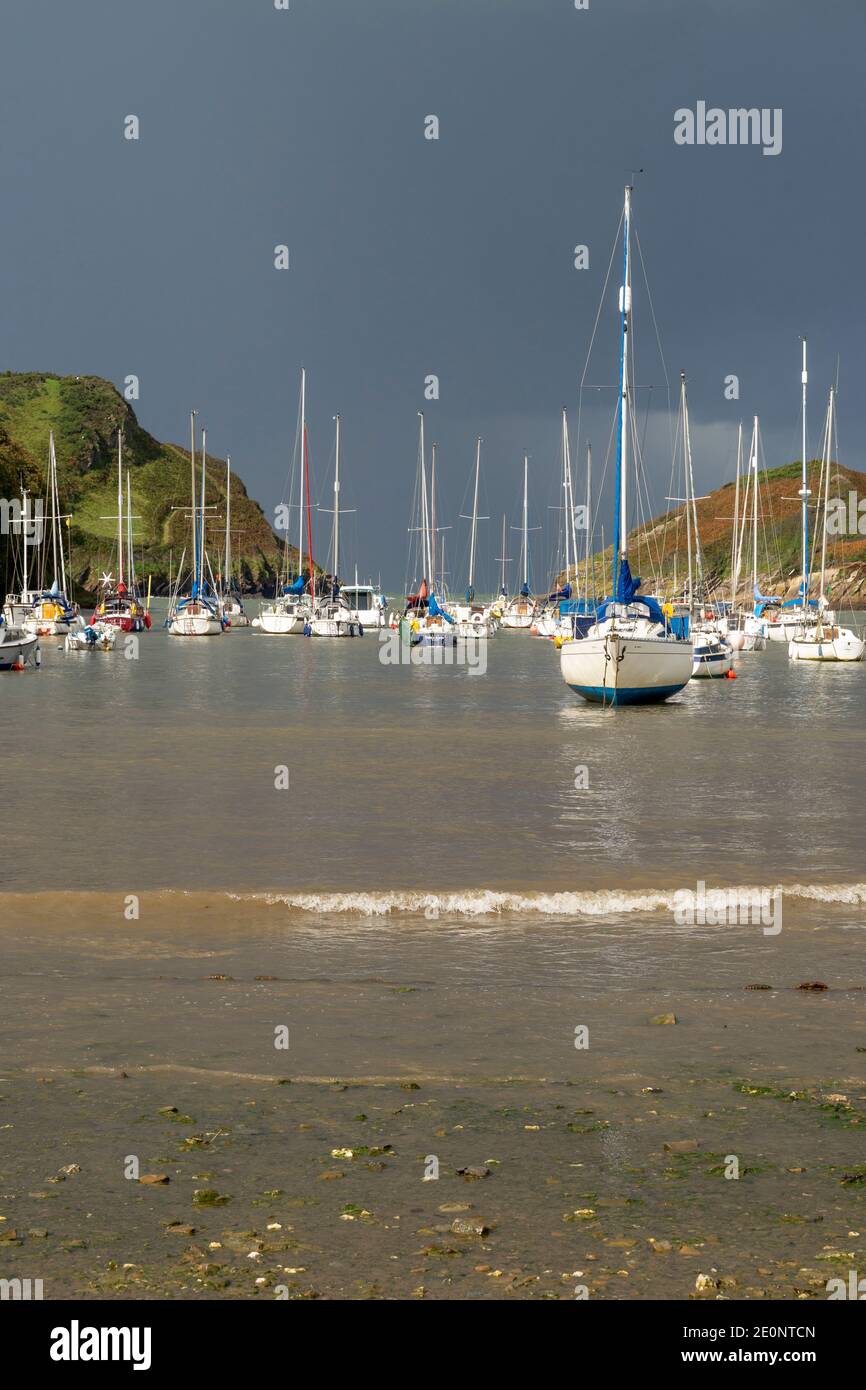 Watermouth Bay - Devon, Angleterre, Royaume-Uni Banque D'Images