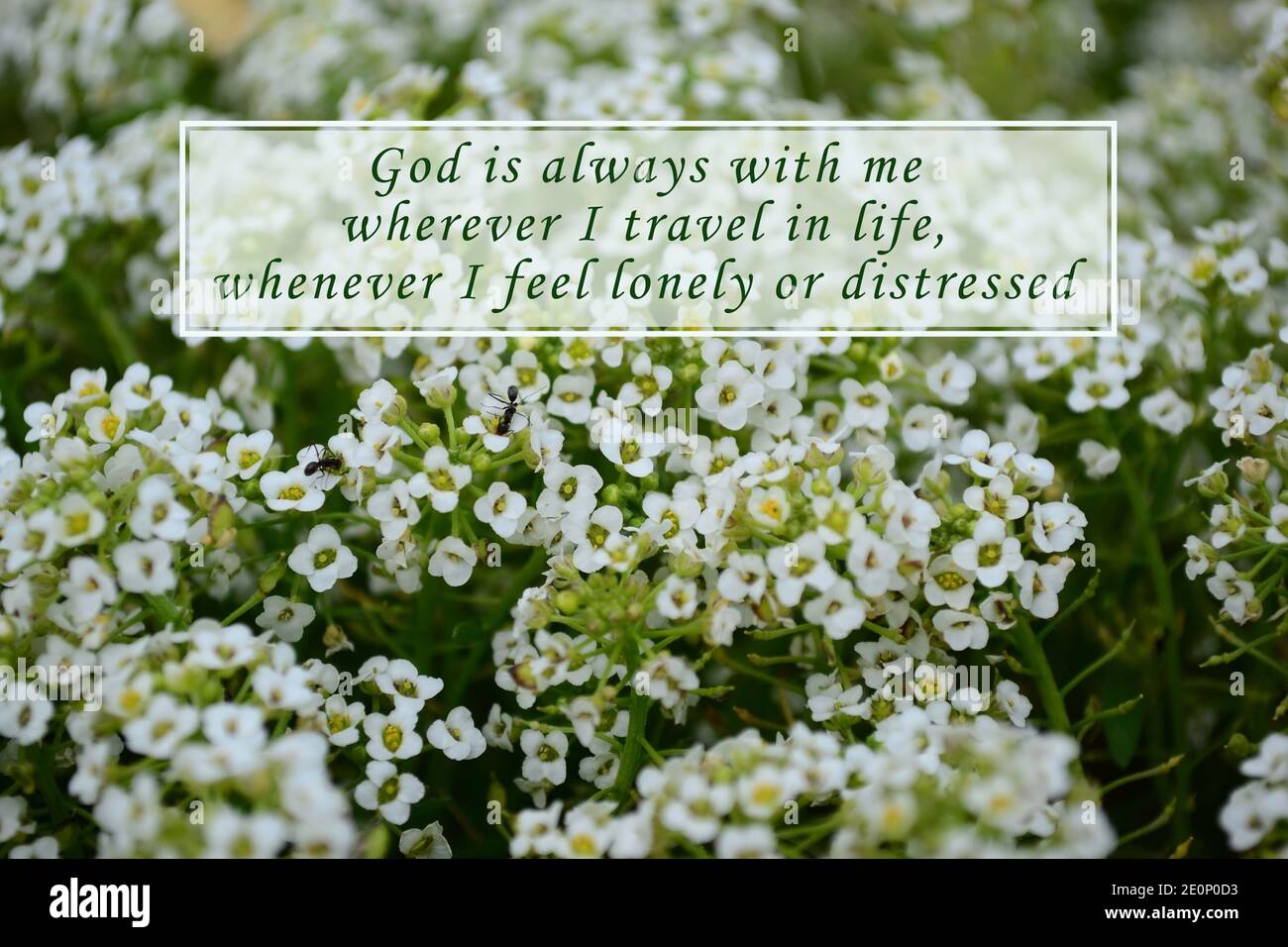 Image Avec Citation Motivationnelle Et Arriere Plan Flou Photo Stock Alamy