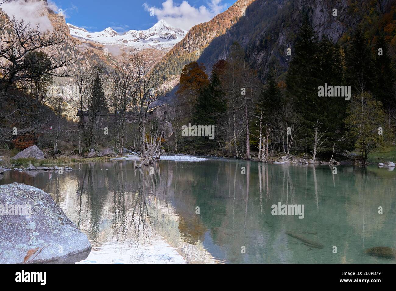 Feuillage d'automne dans le paysage de montagne Banque D'Images