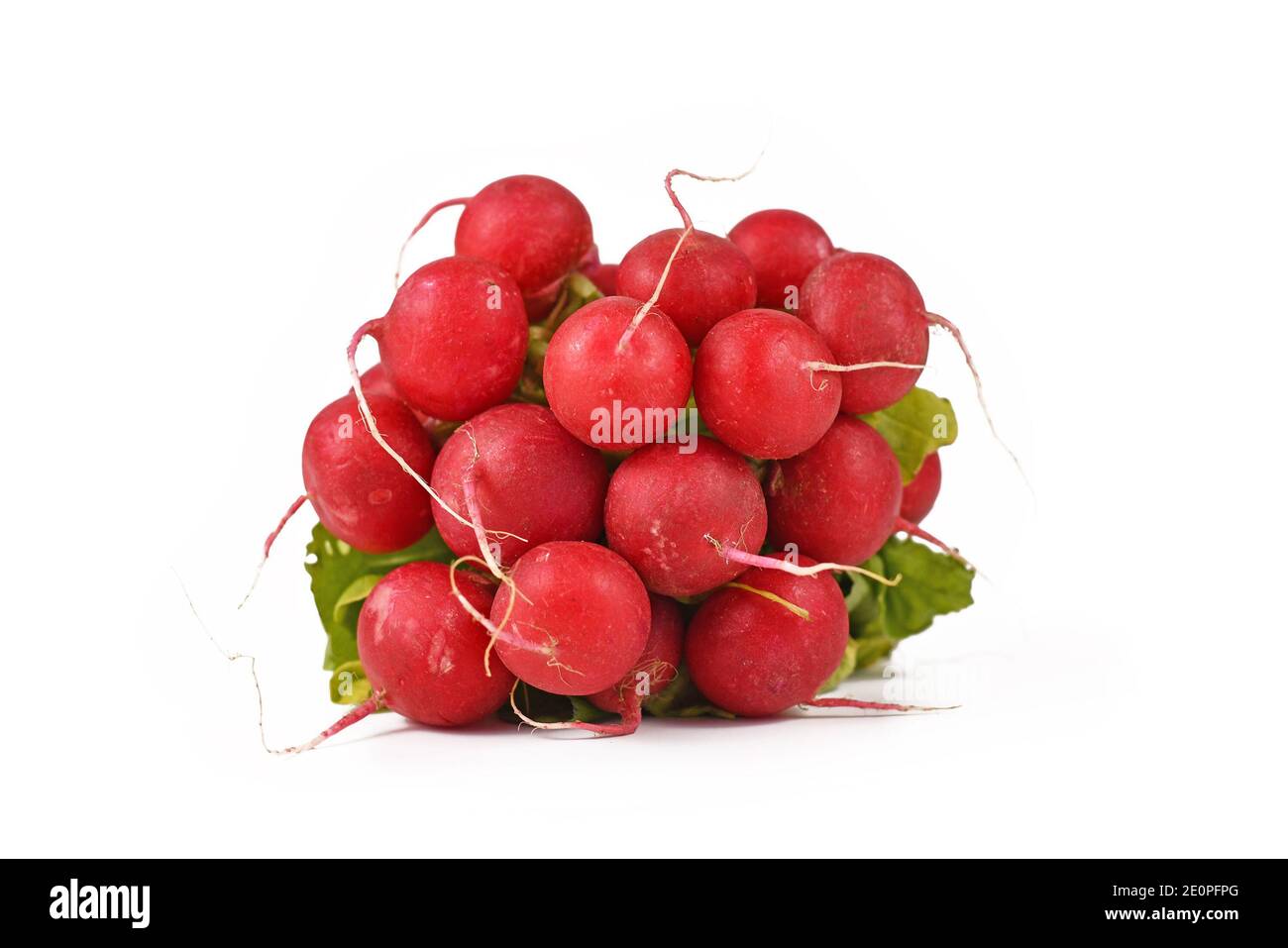 Bande de radis crus cultivés isolés sur fond blanc Banque D'Images