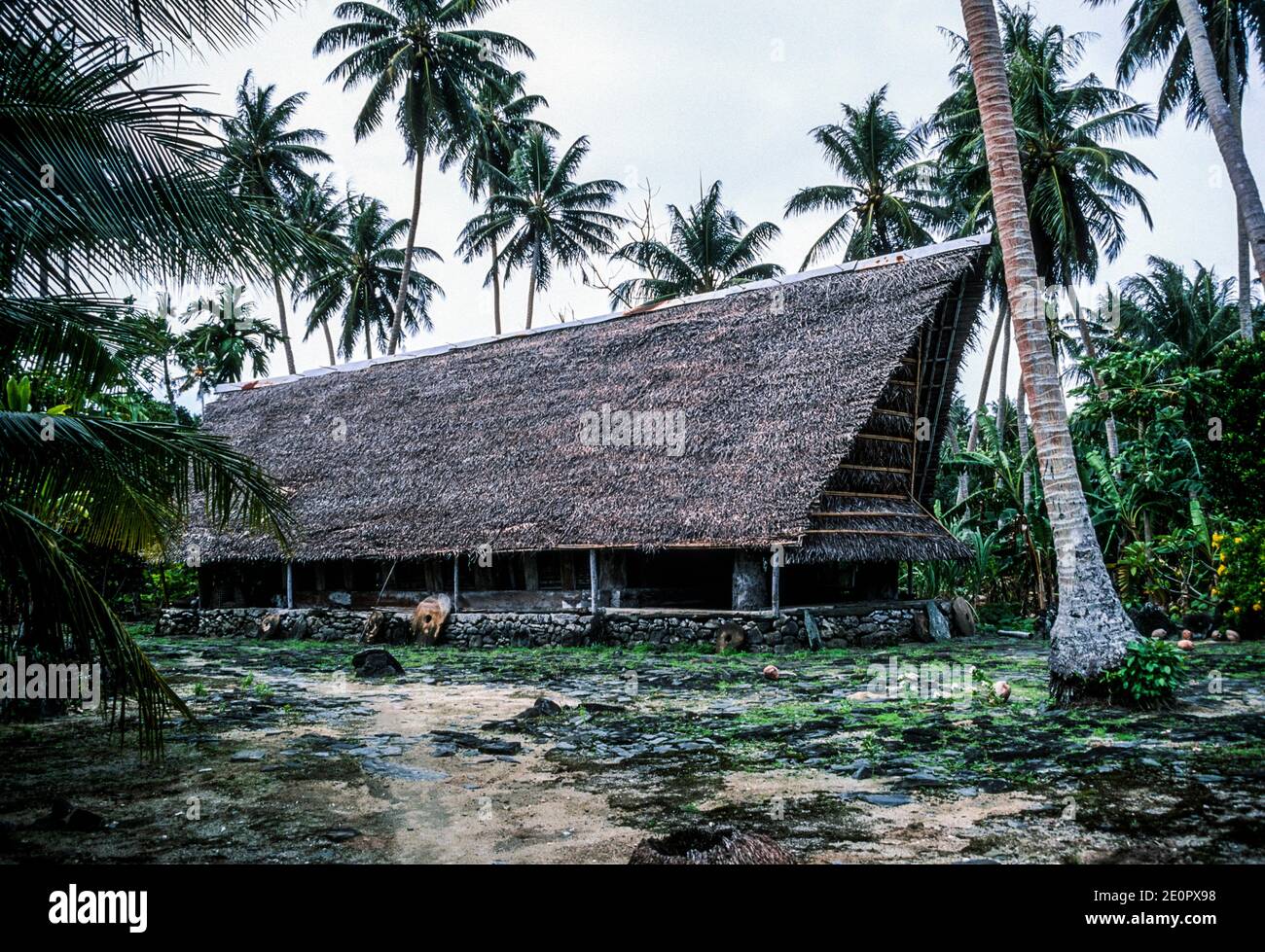 Maison de réunion traditionnelle pour hommes (fauluw). Yap, États fédérés de Micronésie. Banque D'Images