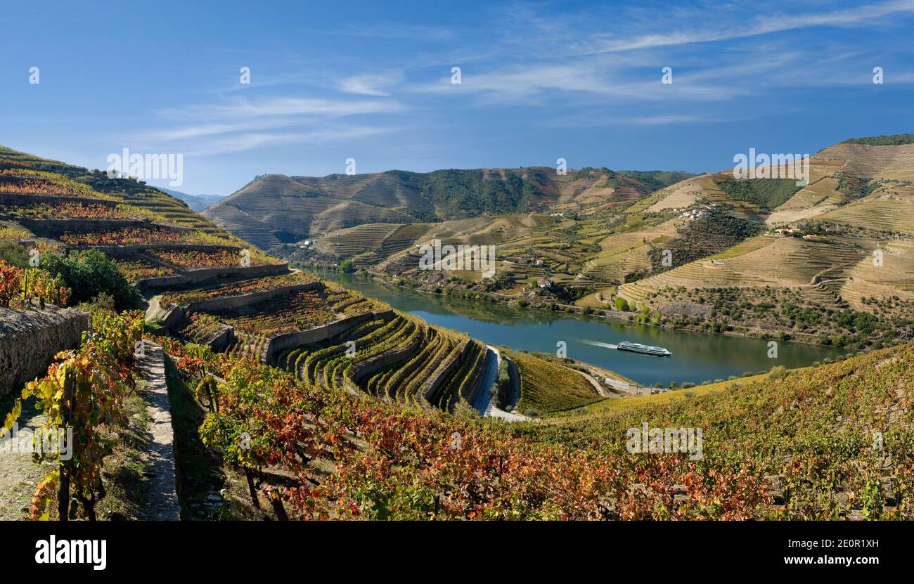 Le Portugal, l'Alto Douro, la Vallée du Douro vignobles en automne Banque D'Images
