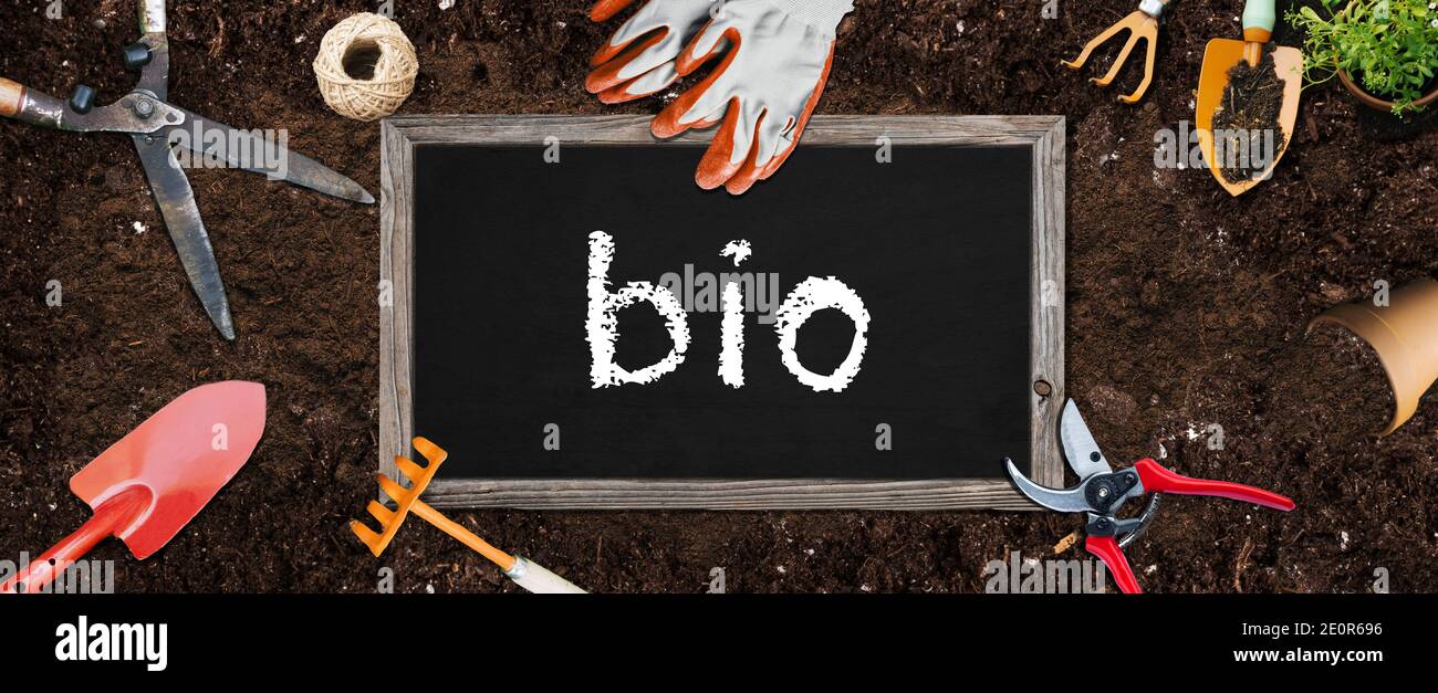 Jardin agriculture biologique, avec des outils de lardination légumes et titre Bio sur tableau noir Banque D'Images
