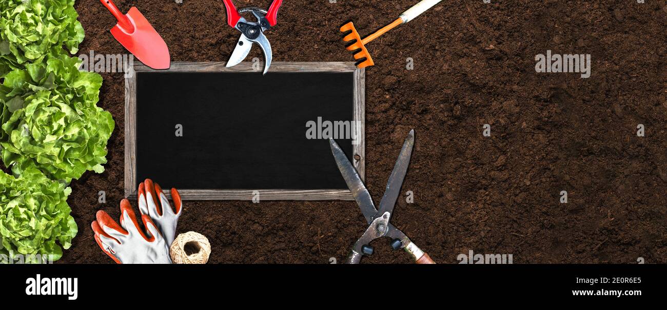Illustration de jardinage avec des outils, des légumes et un tableau noir vide sur le sol de terre Banque D'Images