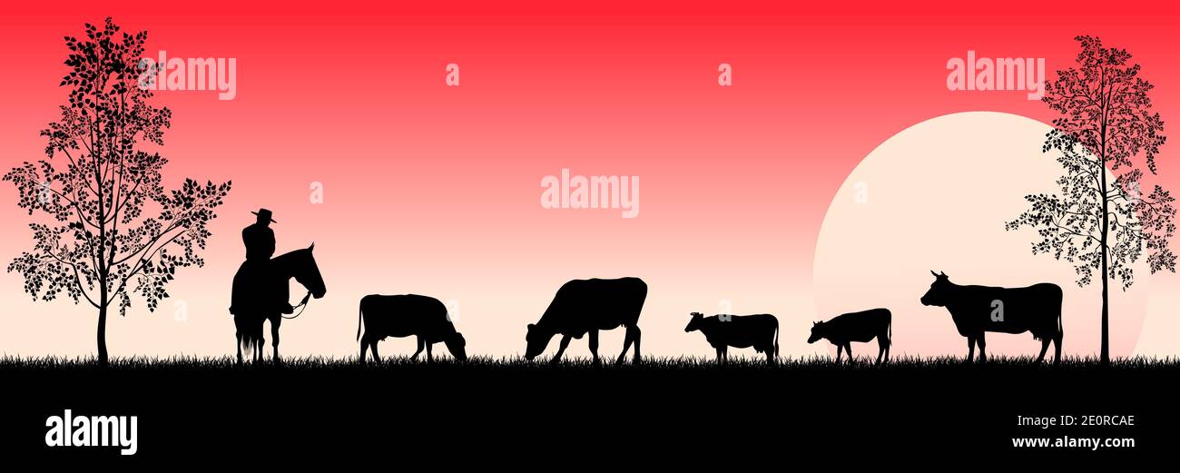 Pâturage des vaches sur l'herbe. Un homme sur un cheval. Arbres. Coucher de soleil. Paysage rural. Illustration de Vecteur