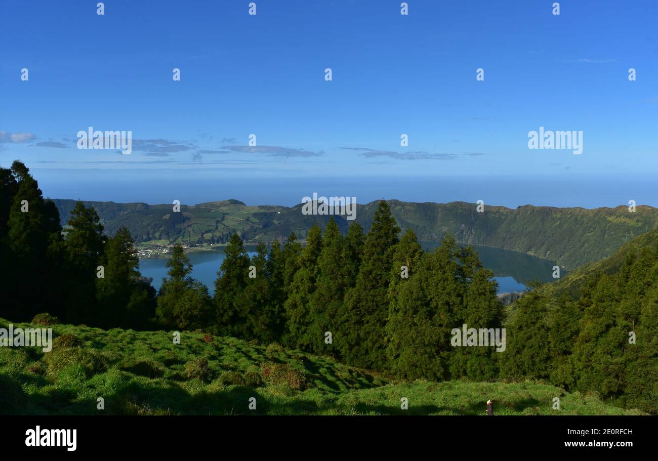 Evergreens verts épais autour du lac de Sete Cidades dans les Açores. Banque D'Images