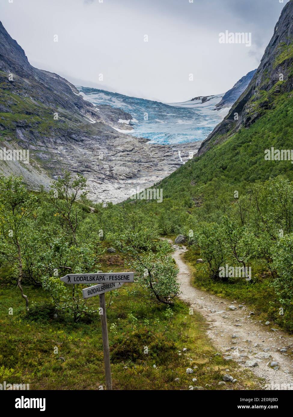 Sentier vers le glacier Bodalsbreen à l'arrière, une langue de glacier de Jostedalsbreen, Banque D'Images