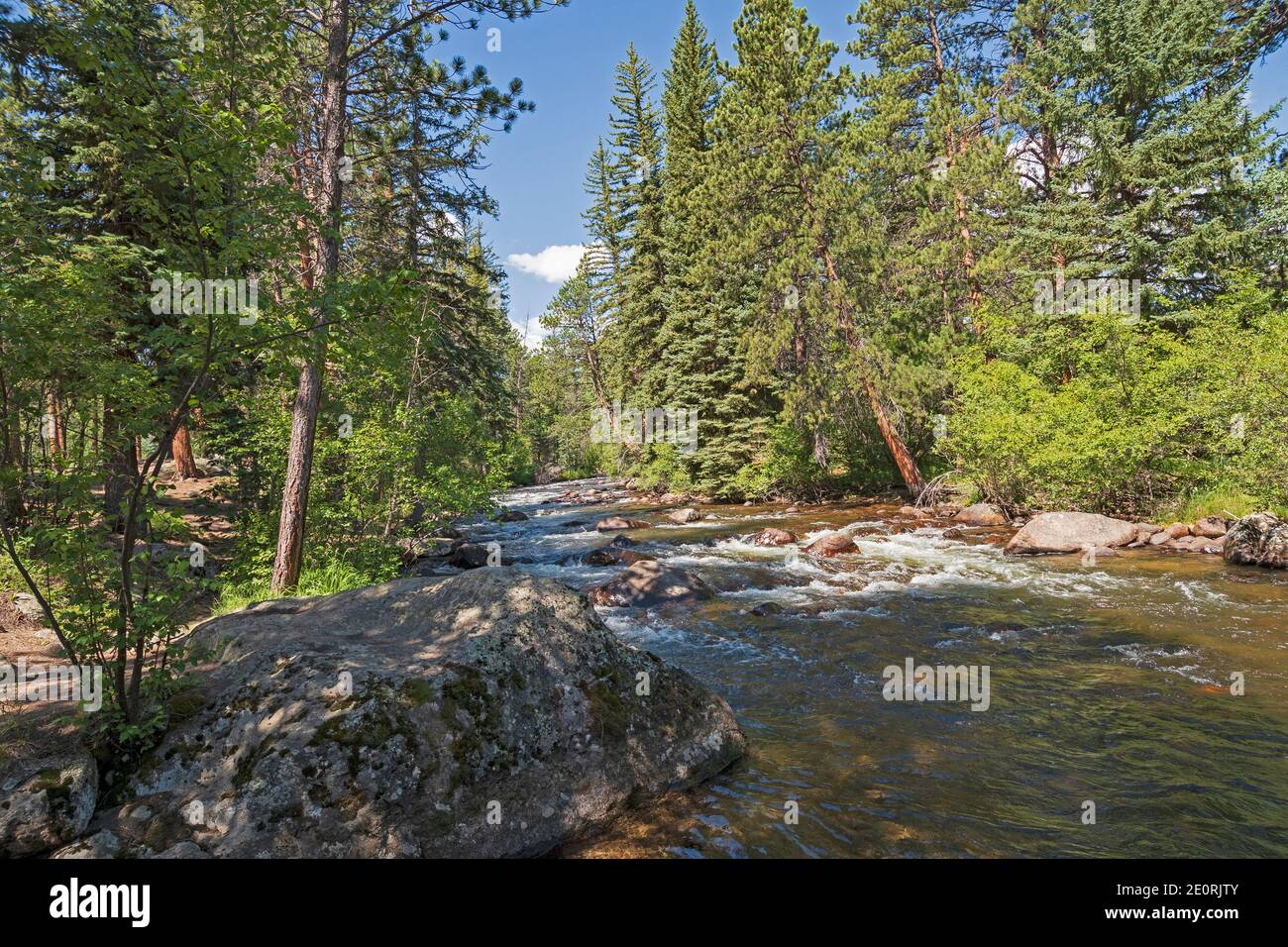Ruisseau de montagne qui coule à travers les pins dans Rocky Mountain National Parc dans le Colorado Banque D'Images