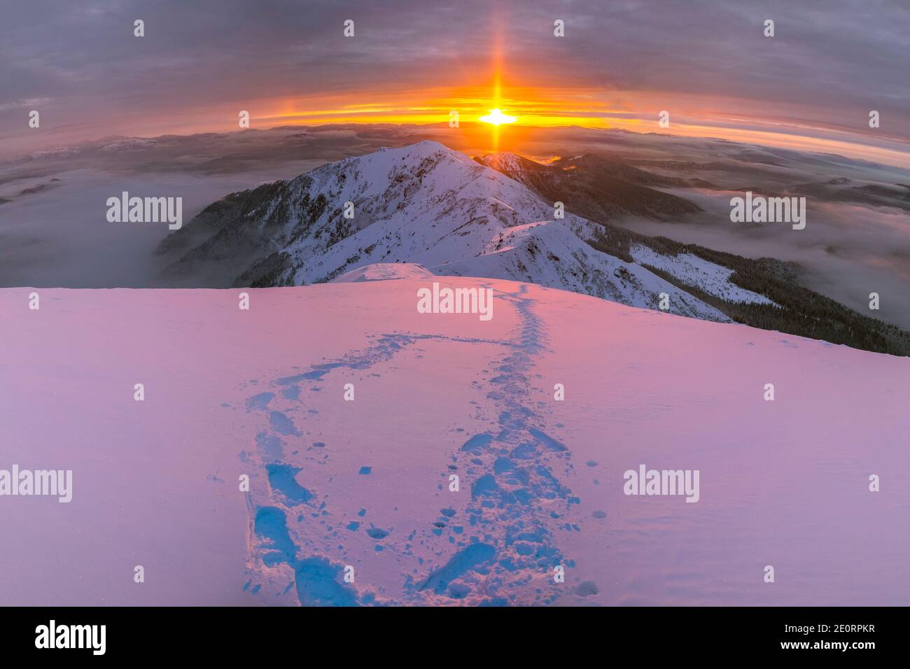 Sentiers menant au sommet d'une montagne enneigée. Neige profonde au coucher du soleil, vue sur les Alpes, Carpates, Marmaros Banque D'Images