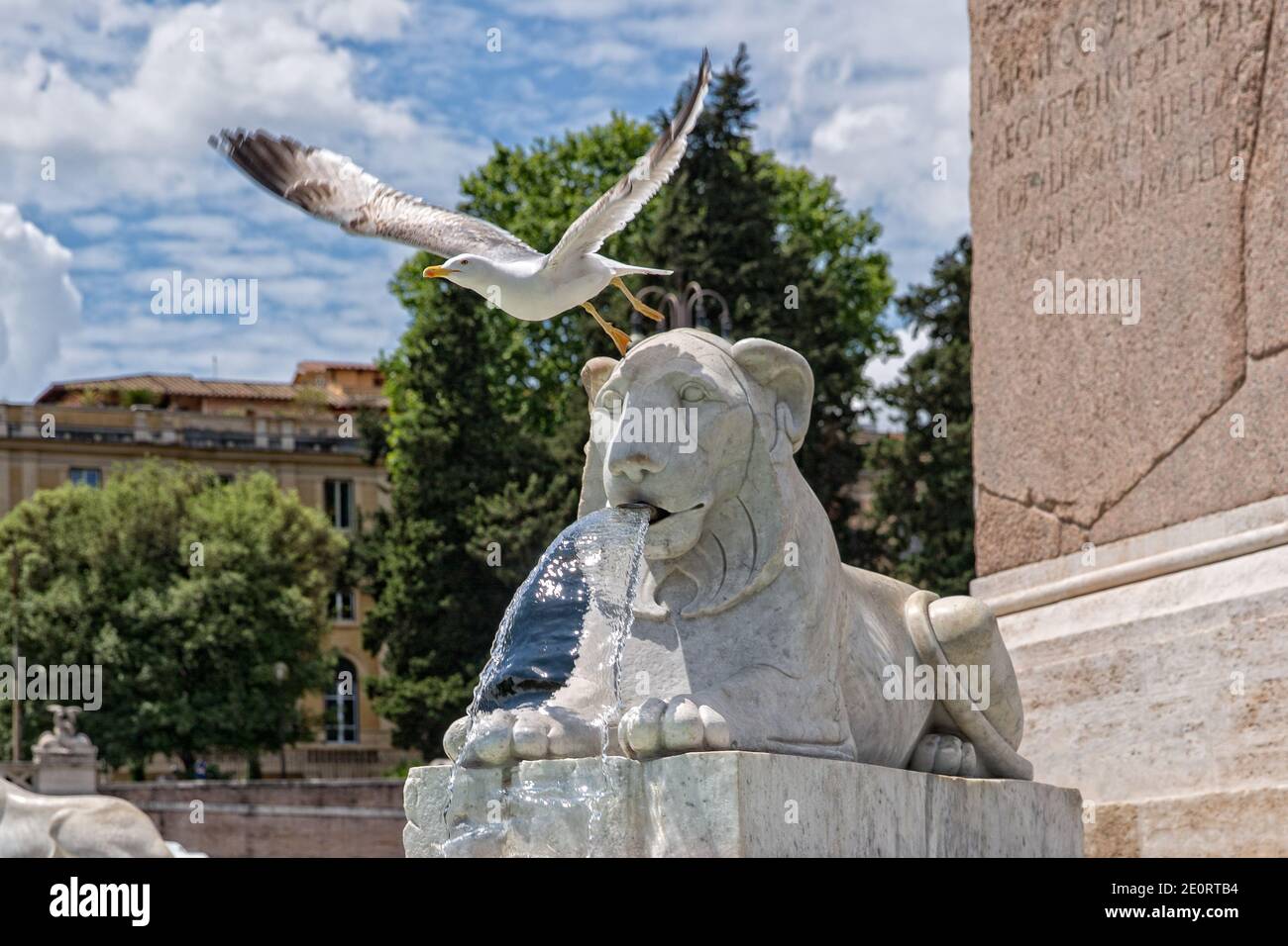 Mouette à la statue du lion sur la Piazza del Popolo. Des lions et des fontaines de marbre entourent un vieil obélisque dans le centre de Piazza Popolo, Rome, Italie Banque D'Images