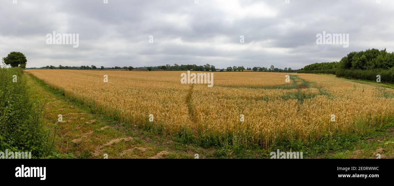 Vue panoramique du champ où le roi Richard III est censé être mort pendant la bataille de Bosworth, guerres des Roses en 1485, Leics, Royaume-Uni. Banque D'Images