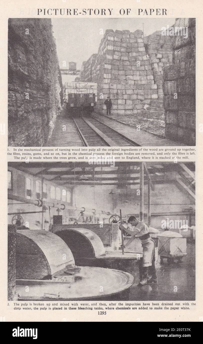 Photos d'époque de la fabrication du papier / de la fabrication du papier - Histoire du papier. Banque D'Images