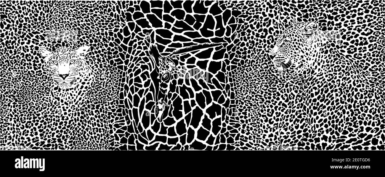 Arrière-plan avec léopards et girafe Illustration de Vecteur