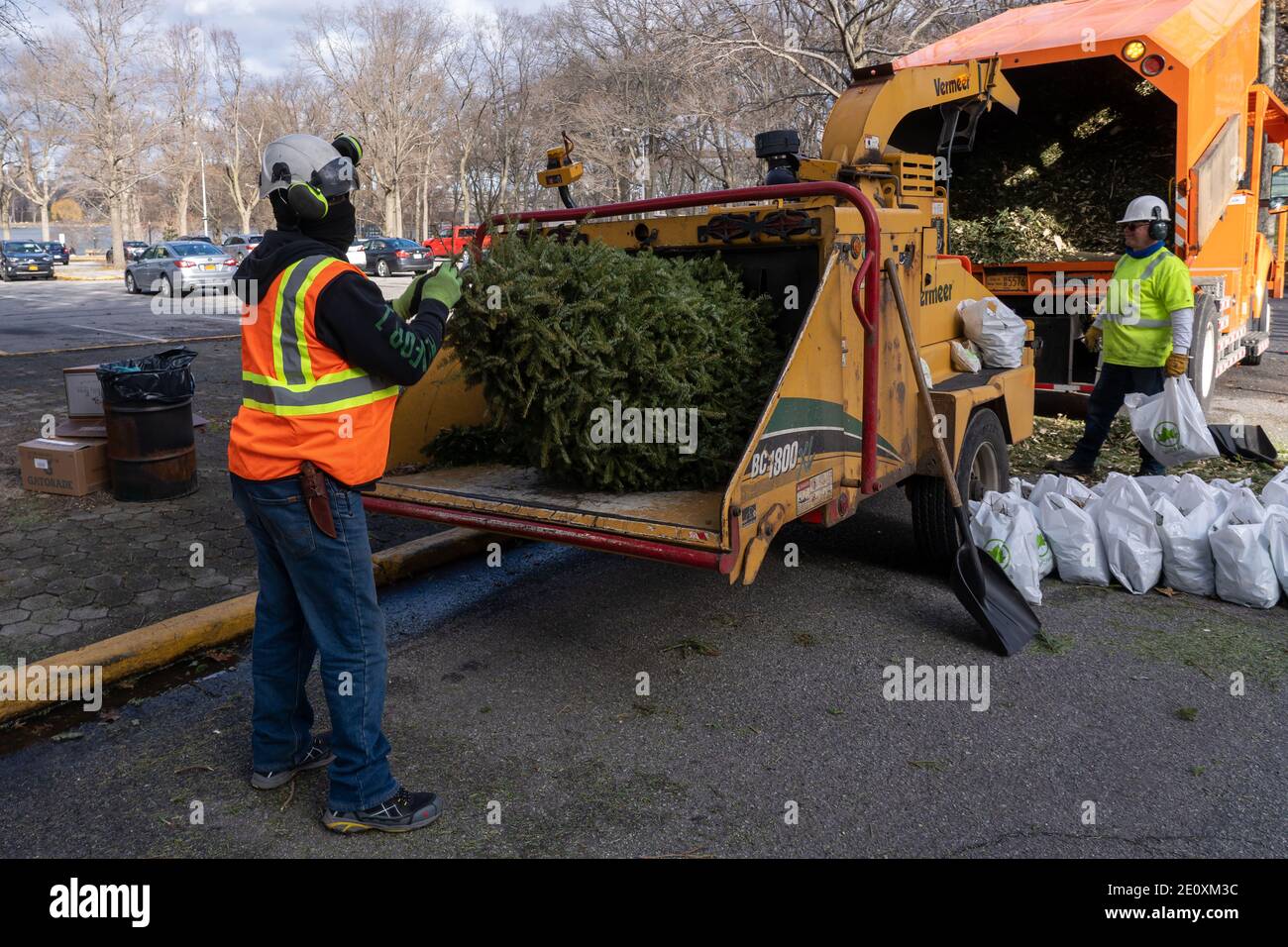 New York, États-Unis. 02 janvier 2021. Un employé du département du parc de New York a vu des arbres déchiqueter lors du New York City Mulchfest à Astoria Park.les New Yorkers apportent leurs arbres et un sac fourre-tout sur un site de burinage et regardent leurs arbres s'ébrécher, puis apportent leur propre paillis riche en nutriments chez eux. Parcs et DSNY ont récolté et paillé des arbres pour aider à planter des lits et des jardins communautaires autour de la ville à croître. Crédit : SOPA Images Limited/Alamy Live News Banque D'Images