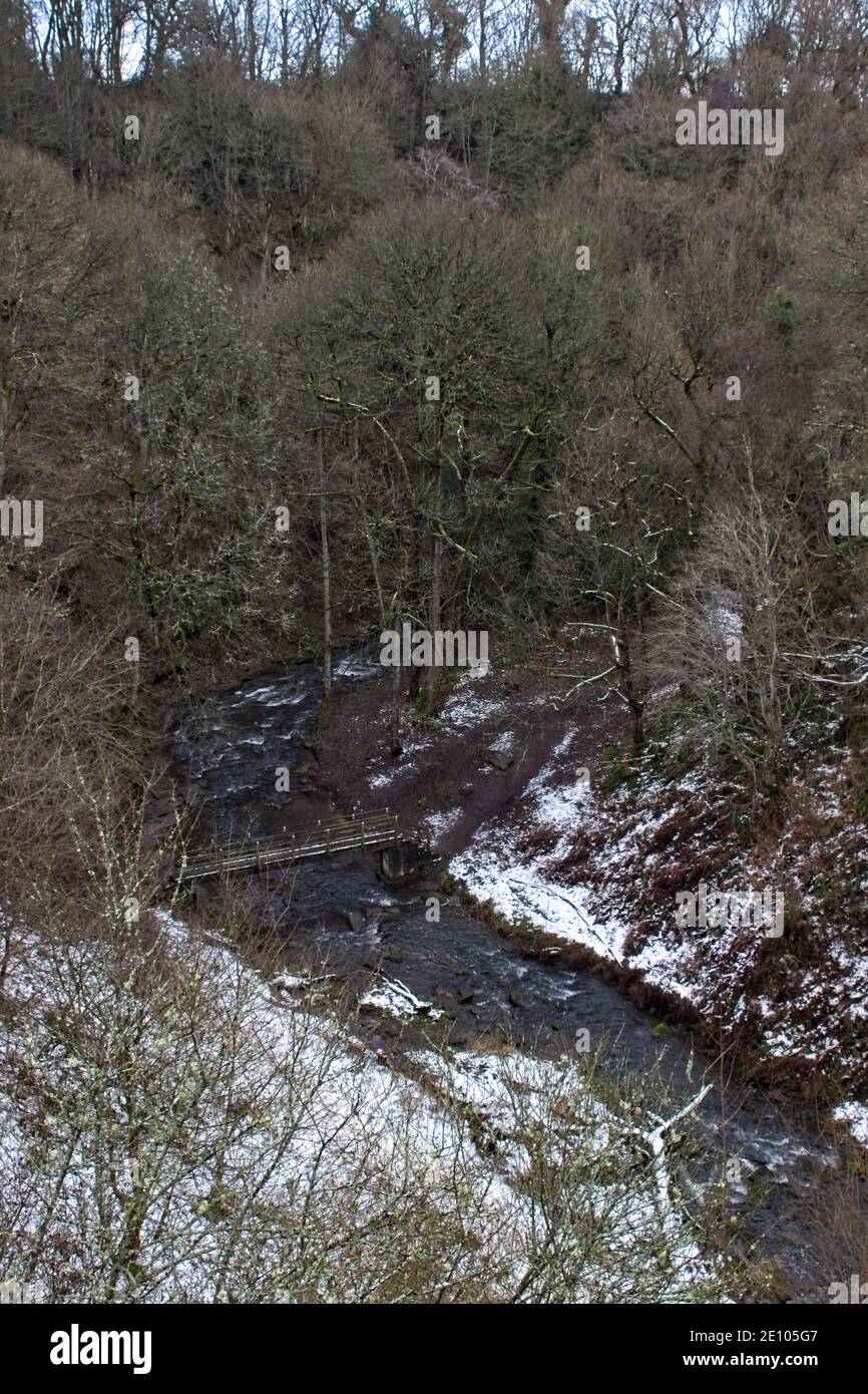 En descendant du pont de chemin de fer Causey Arch jusqu'au Causey Burn et Badgers Wood près de Stanley dans le comté de Durham, Royaume-Uni Banque D'Images