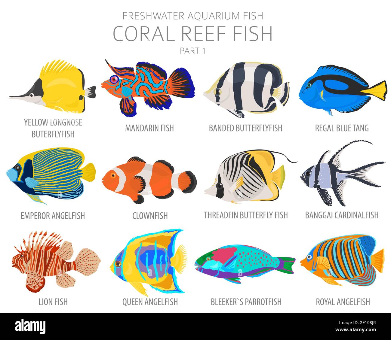 Poissons de récif de corail. Poisson d'aquarium d'eau douce icône ensemble plat style isolé sur blanc. Illustration vectorielle Illustration de Vecteur