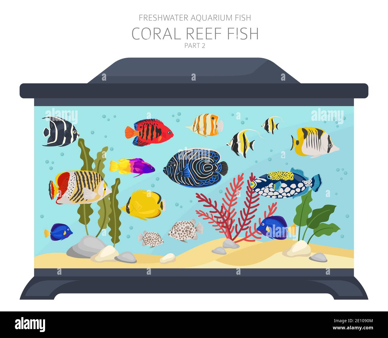 Poissons de récif de corail. Poisson d'aquarium d'eau douce icône ensemble plat style isolé sur blanc. Illustration vectorielle Illustration de Vecteur