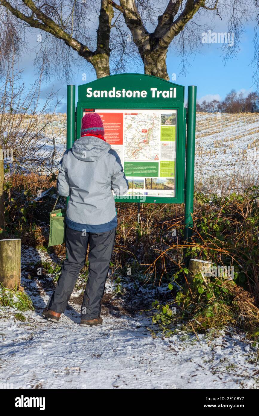 Une femme s'est arrêtée pour lire le tableau d'information sur Coppermine Lane La marche de la piste de grès Cheshire un long chemin de pied dans hiver après la neige Banque D'Images