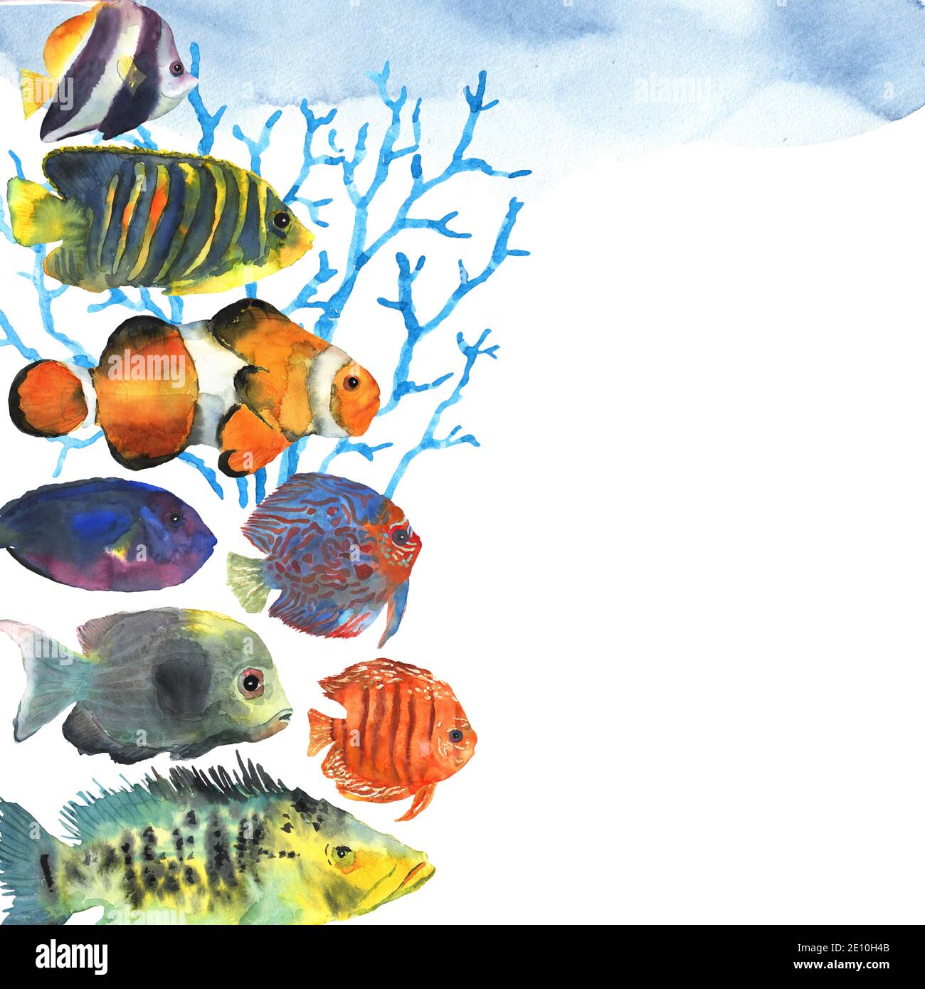 Cadre de poissons tropicaux exotiques colorés avec place pour le texte de yuor, dessiné à la main dans l'aquarelle pour la décoration. Monde sous-marin. Icône de site Web. Banque D'Images