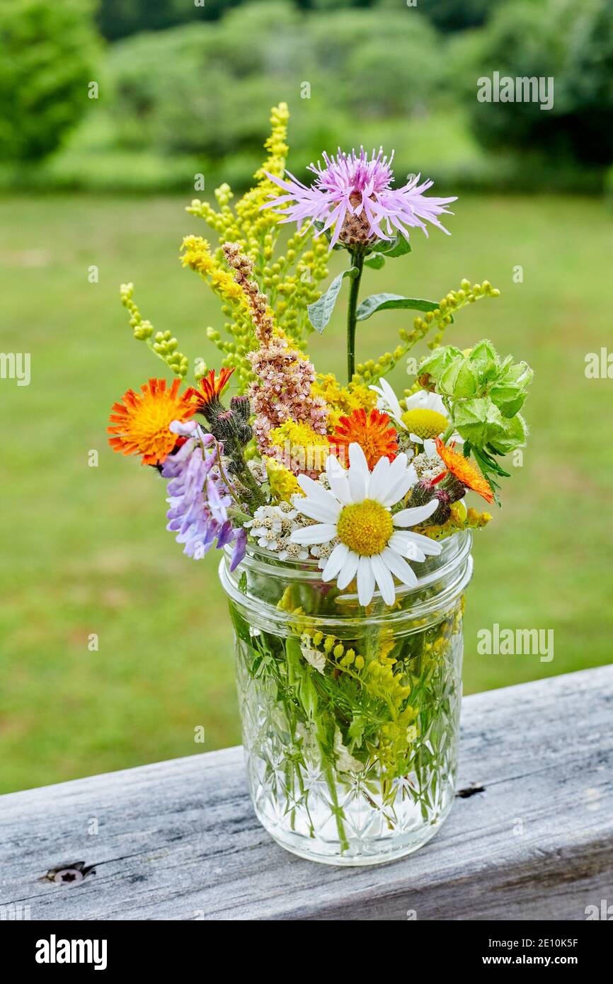 Arrangement de fleurs sauvages sur une rambarde en bois nu avec de la verdure dans Contexte 1 Banque D'Images