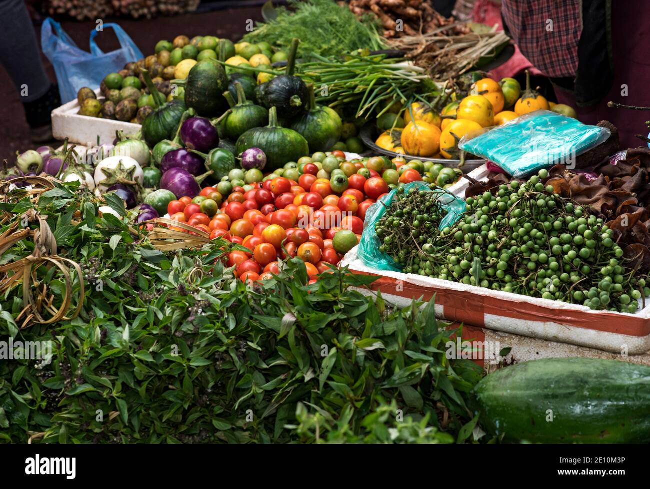 Stand de légumes sur le marché de Phosi, aux bons fruits de la plante d'oeuf de Pea utilisé comme ingrédient pour le curry vert thaïlandais, Luang Prabang, Laos Banque D'Images