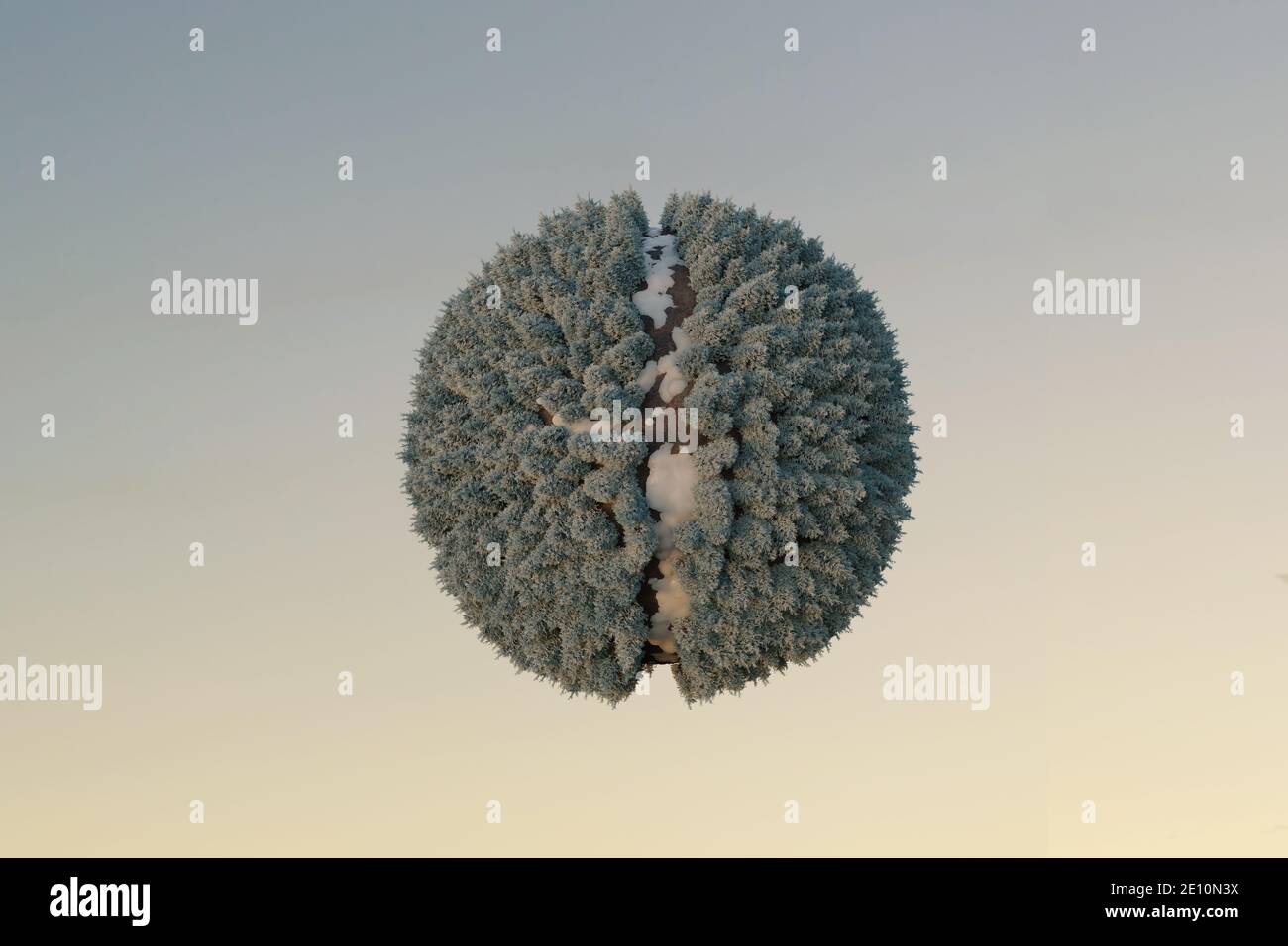 rendu 3d de la forêt d'épicéa avec trajectoire en forme sphérique en hiver Banque D'Images