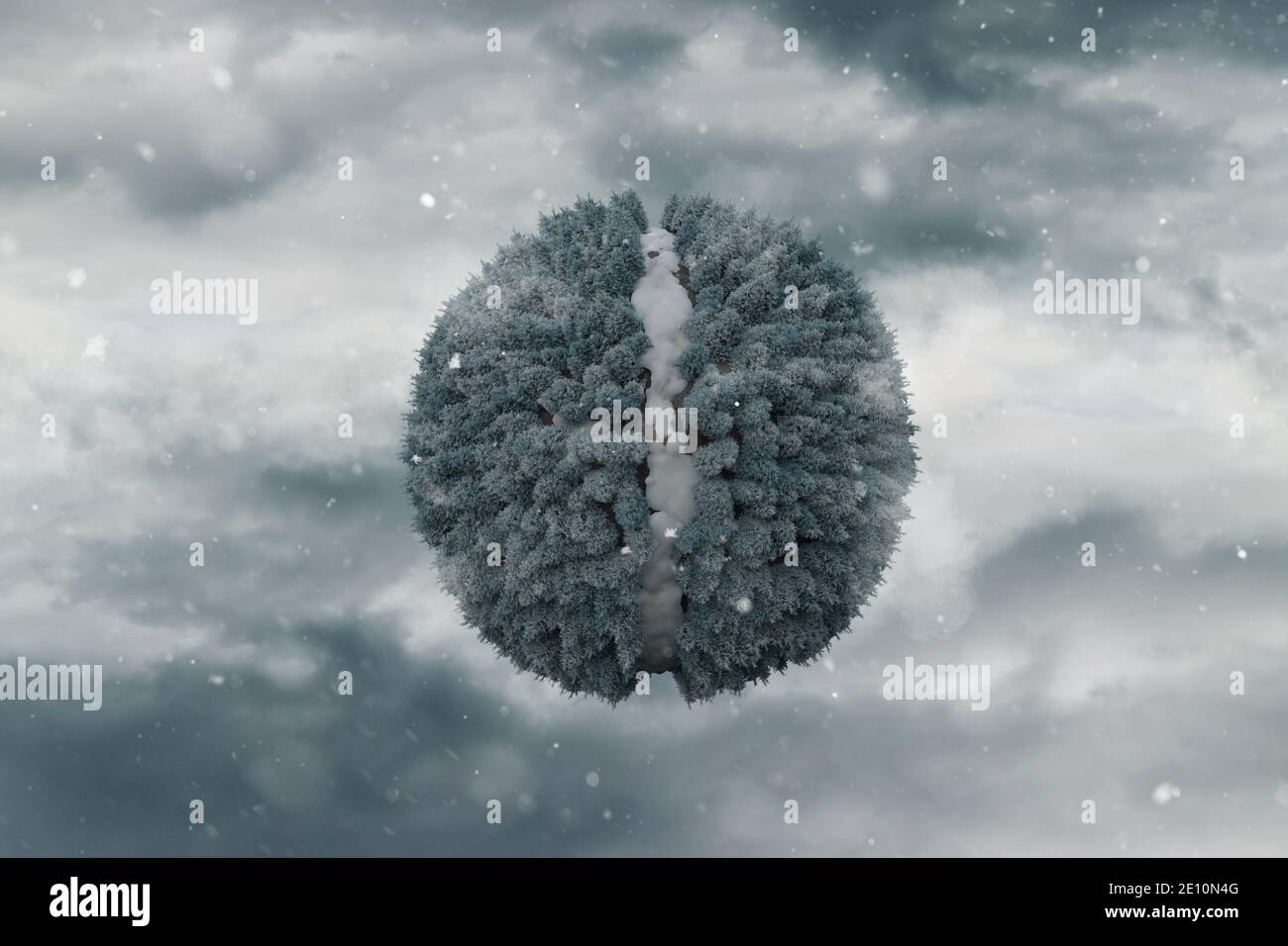 rendu 3d de la forêt d'épicéa avec trajectoire en forme sphérique devant un ciel couvert de neige qui tombe Banque D'Images