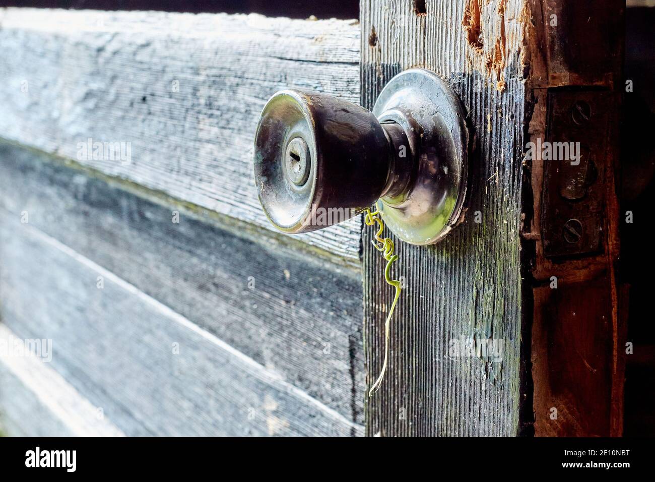 Ancien bouton de porte avec ouverture verticale dans la porte abîmé, vue latérale horizontale Banque D'Images