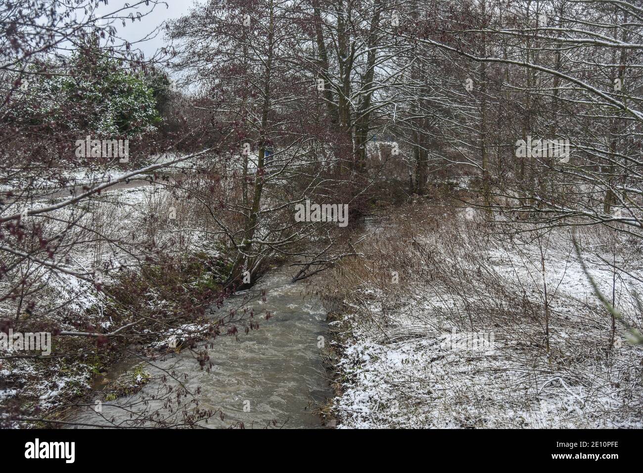 Sentier de parc en hiver avec un ruisseau et une légère pulvérisation de neige et d'arbres dans le Staffordshire, Angleterre Banque D'Images