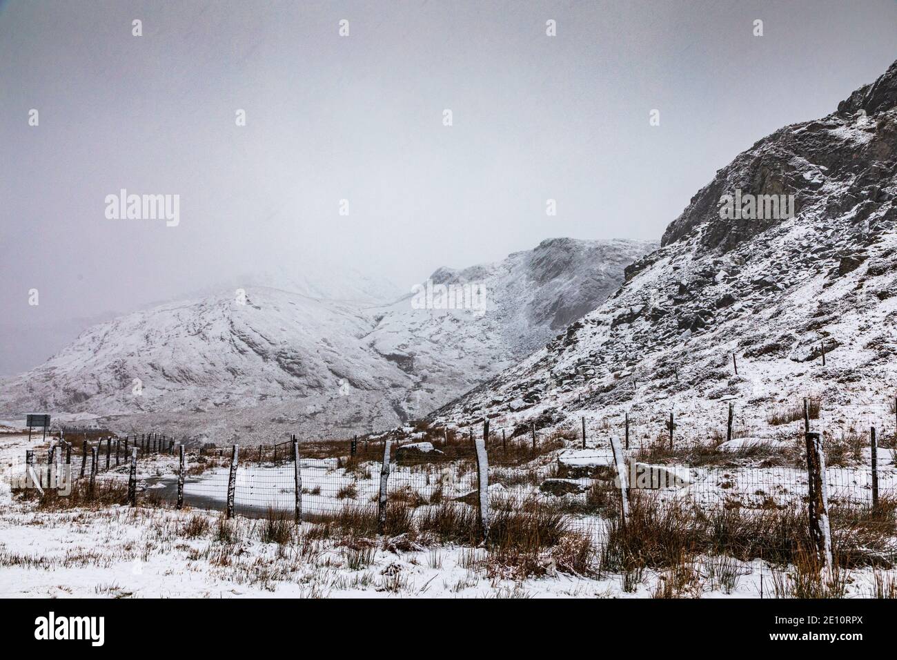 Moel Dduallt, Dolwyddelan, Gwynedd, pays de Galles du Nord Banque D'Images