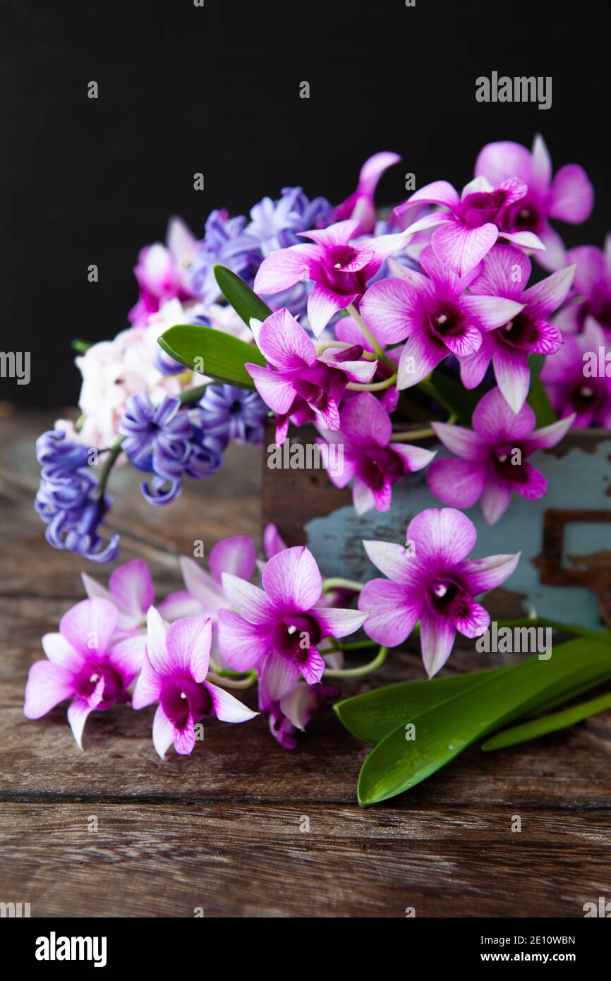 Orchidées et jacinthes violettes Banque D'Images