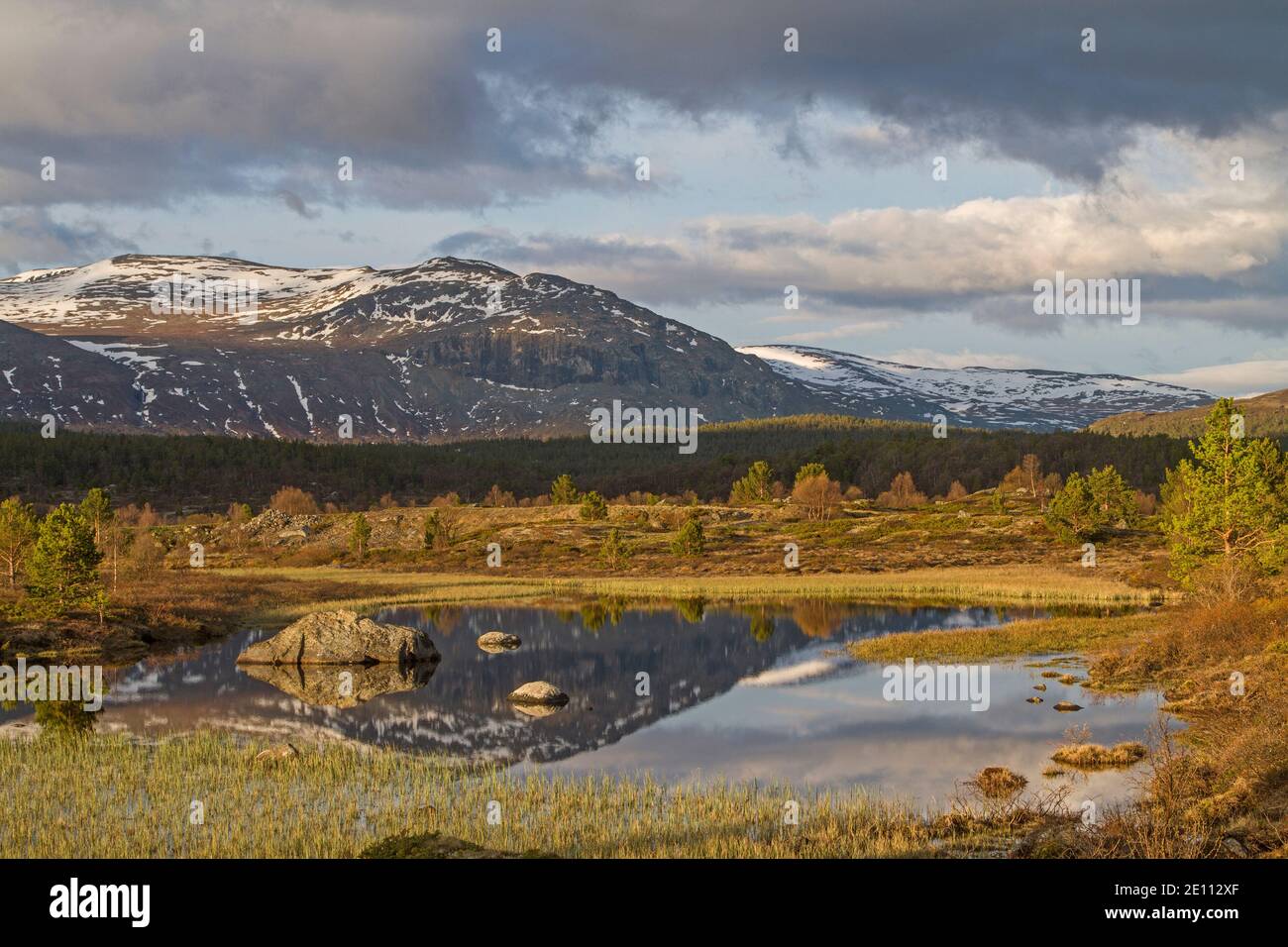 Impressions de la route Sognefjellsveien à 110 km Banque D'Images