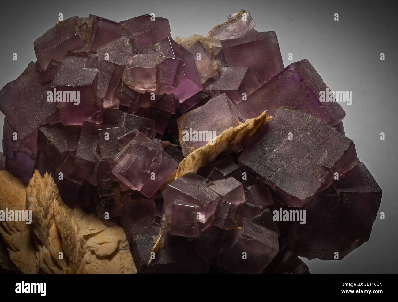 cristaux violets de fluorite Banque D'Images
