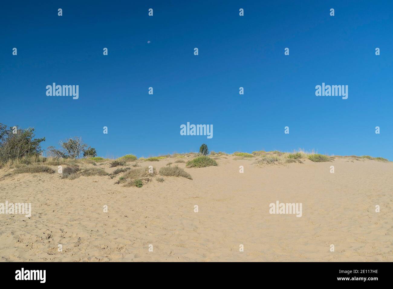 Sable doré ensoleillé dans une belle journée Banque D'Images