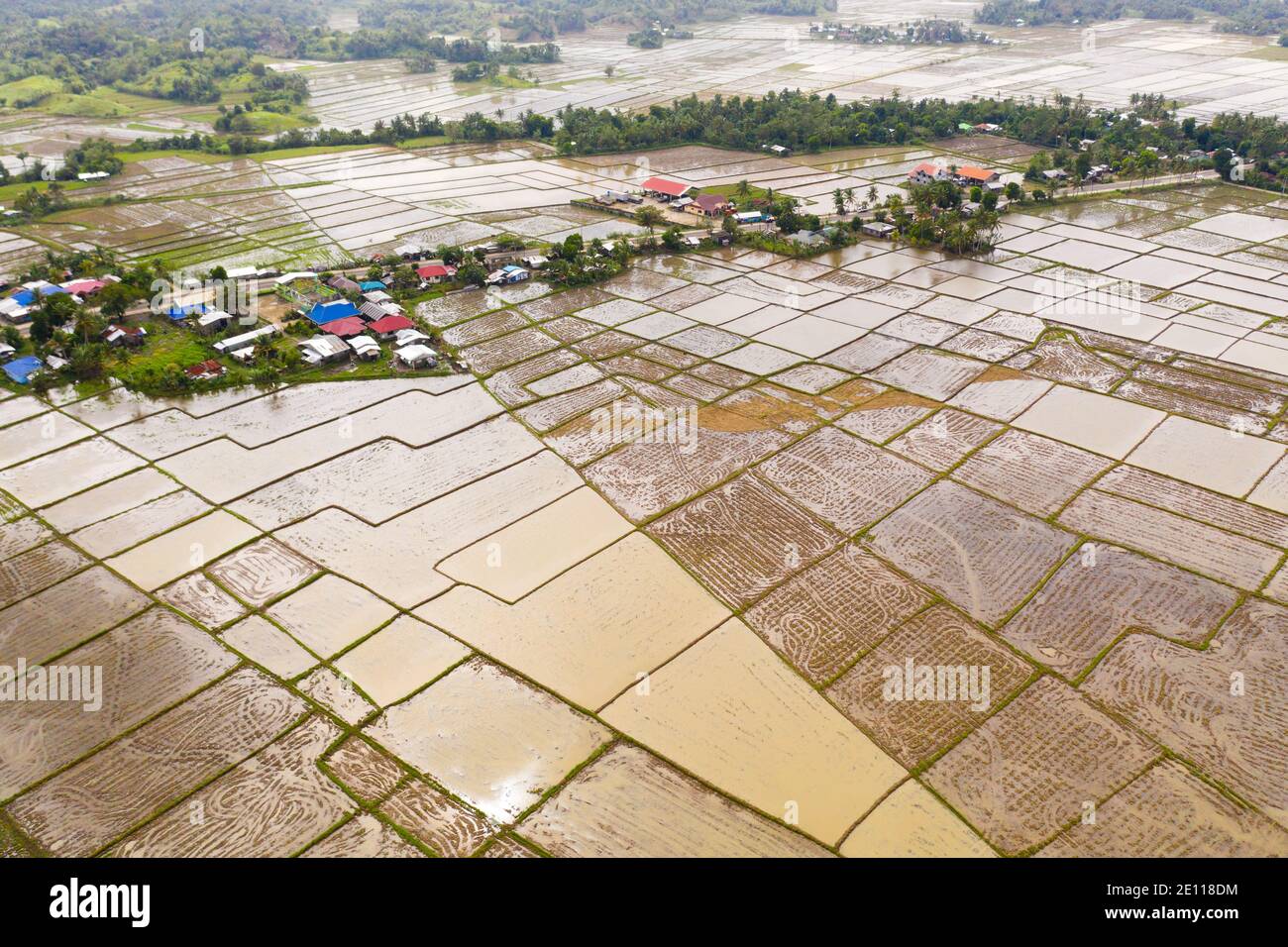 Village philippin et rizières inondées d'eau. Champs agricoles sur l'île de Luzon. Banque D'Images