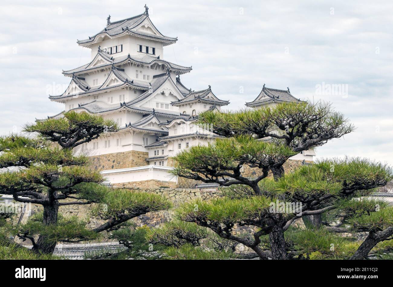 Château Himeji, site du patrimoine mondial de la préfecture de Hyogo au Japon. Architecture japonaise traditionnelle médiévale avec de vieux pins en premier plan Banque D'Images