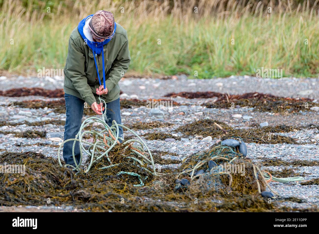 Saint John, N.-B., Canada - le 3 octobre 2020 : une personne tire la corde et d'autres engins de pêche commerciale perdus d'une pile d'algues sur une plage. Banque D'Images