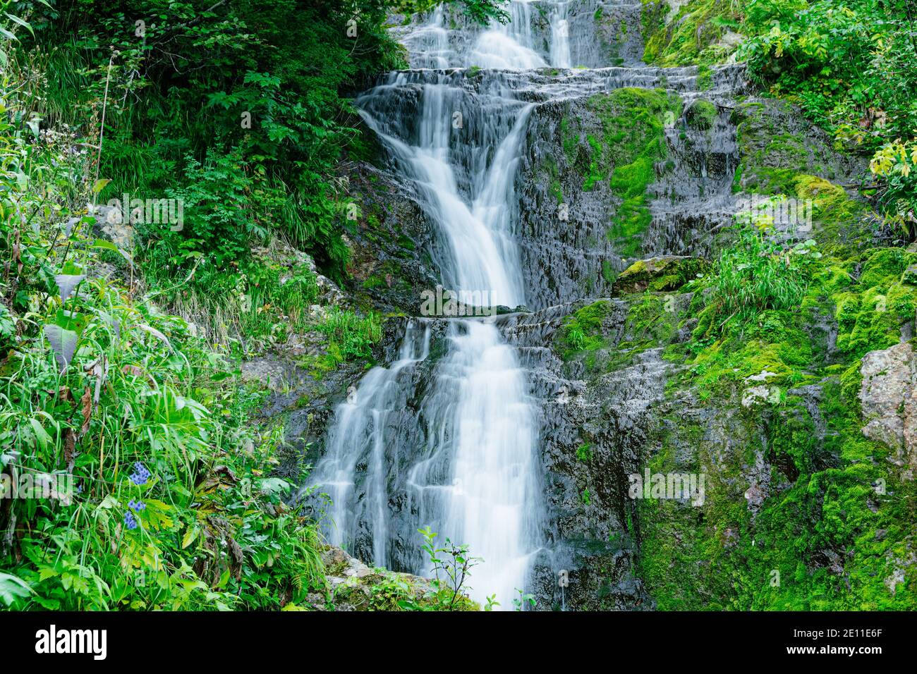 Vue sur la cascade dans la forêt tropicale. Ruisseau rapide parmi les roches et la mousse verte. Banque D'Images