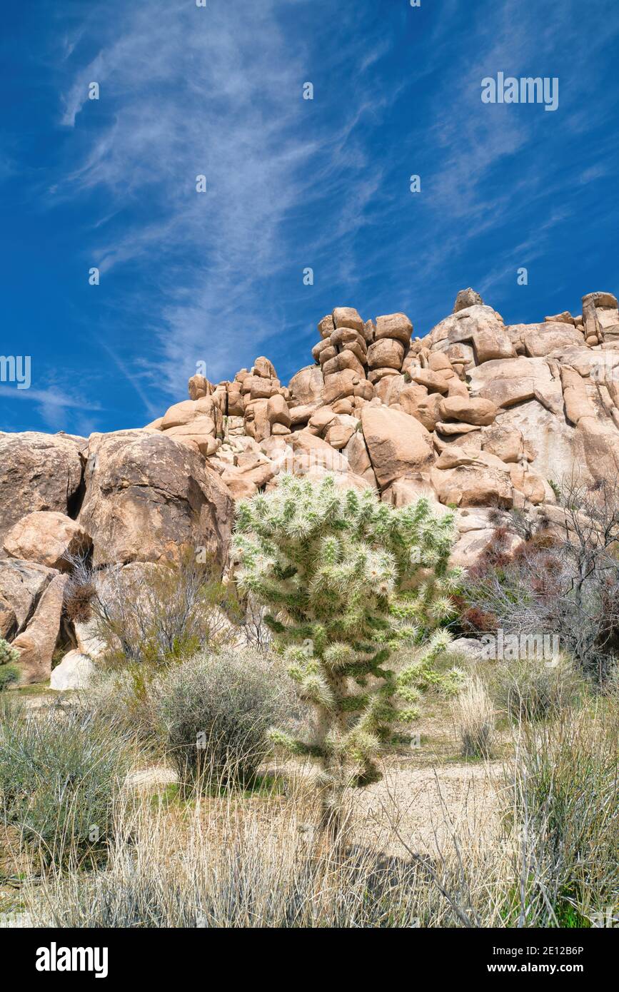 Montagne d'énormes rochers et cactus au Joshua Tree National Parc Californie Banque D'Images