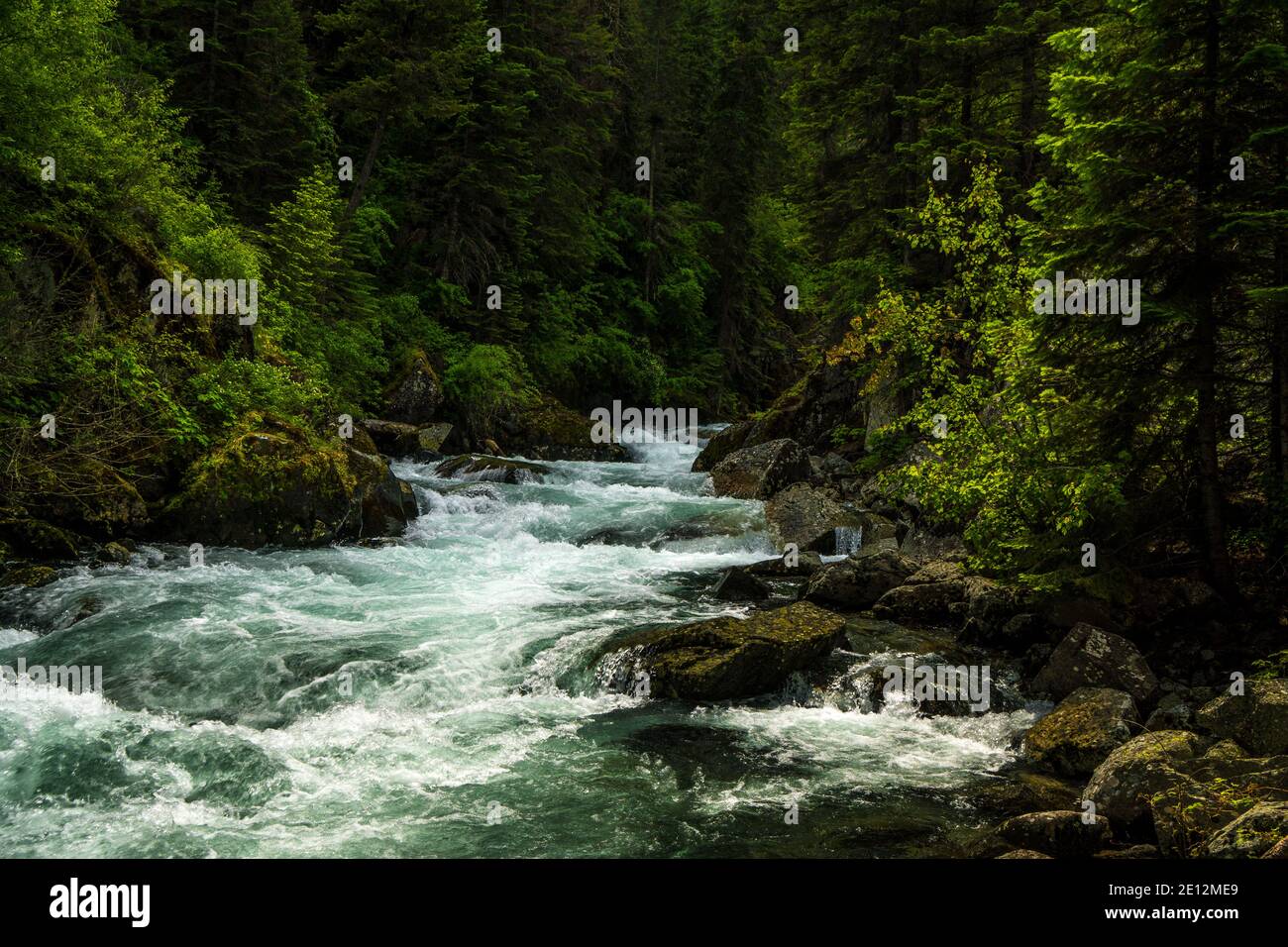 Rivière Lostine sauvage et pittoresque de l'Oregon, au-dessus du pont du pôle Aire de pique-nique à 7.5 km au sud de Lostine sur la Lostine River Road/FS Road 8210 Banque D'Images